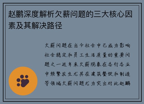 赵鹏深度解析欠薪问题的三大核心因素及其解决路径